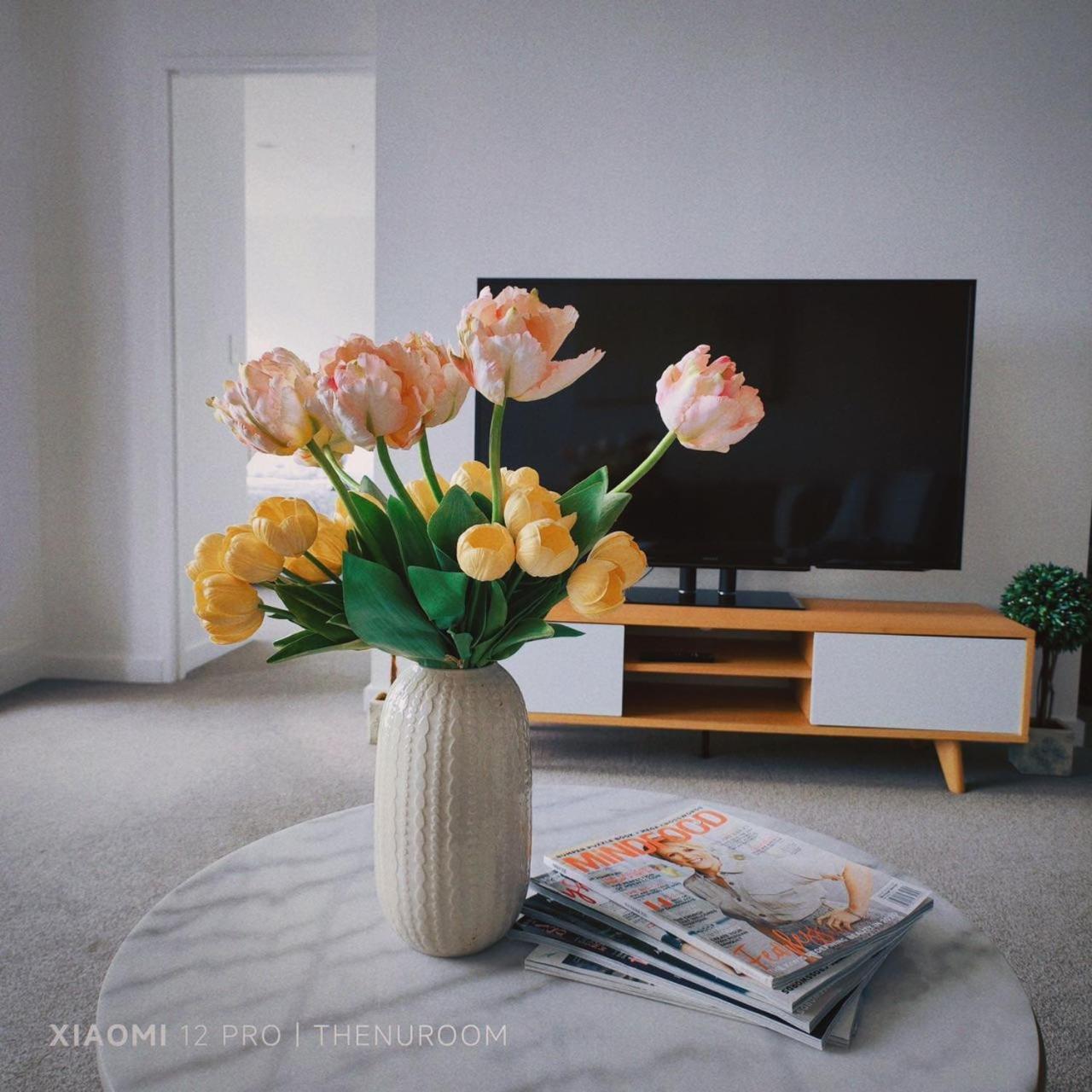 Auckland Birkenhead Bnb Dış mekan fotoğraf